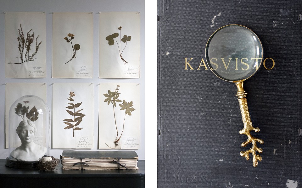 Styling_Kasvistos